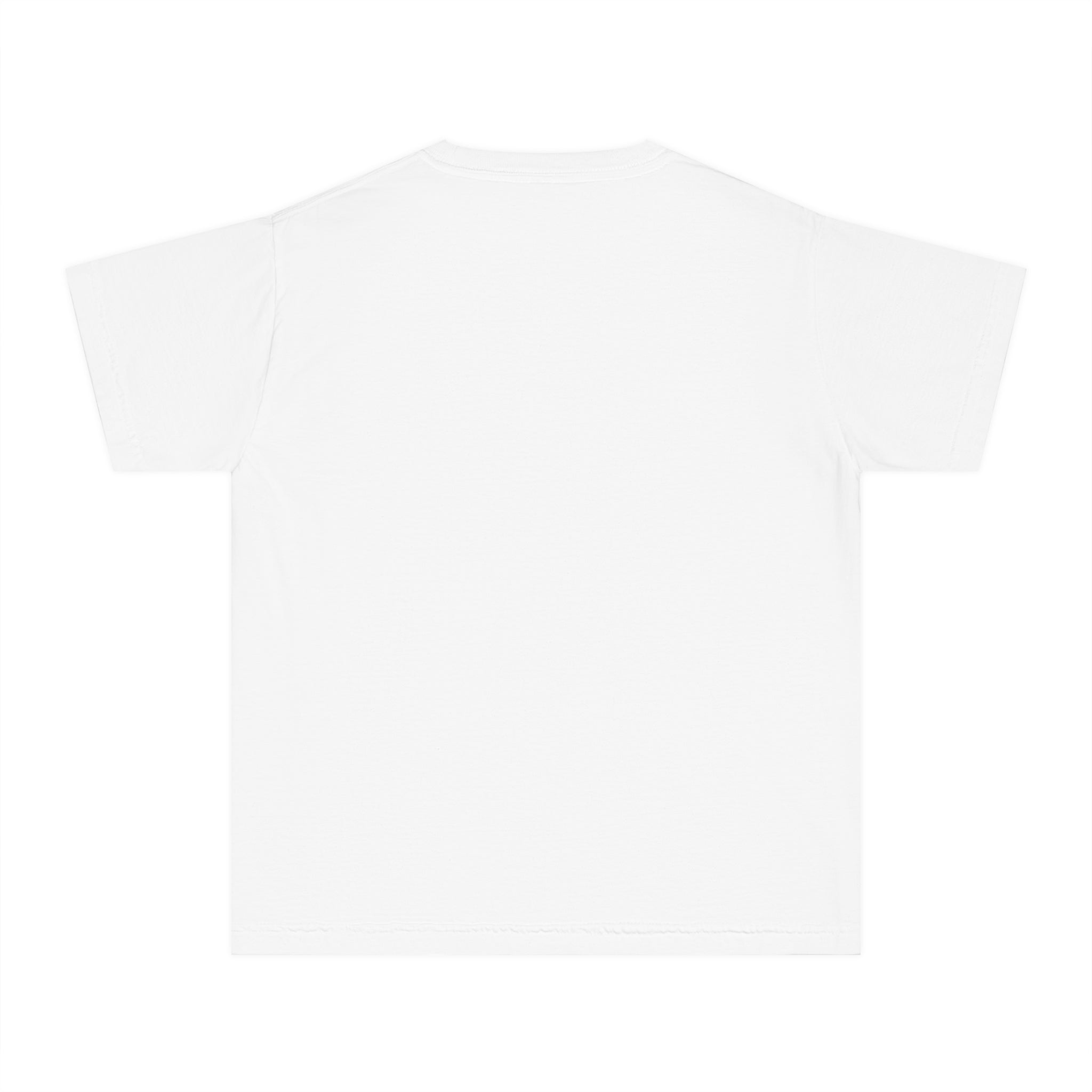 Level Sidekick Youth Midweight Tee, Gamer T-Shirt, Kid's Video Game Shirt, Playful Graphic Tee, Birthday Gift for Gamers